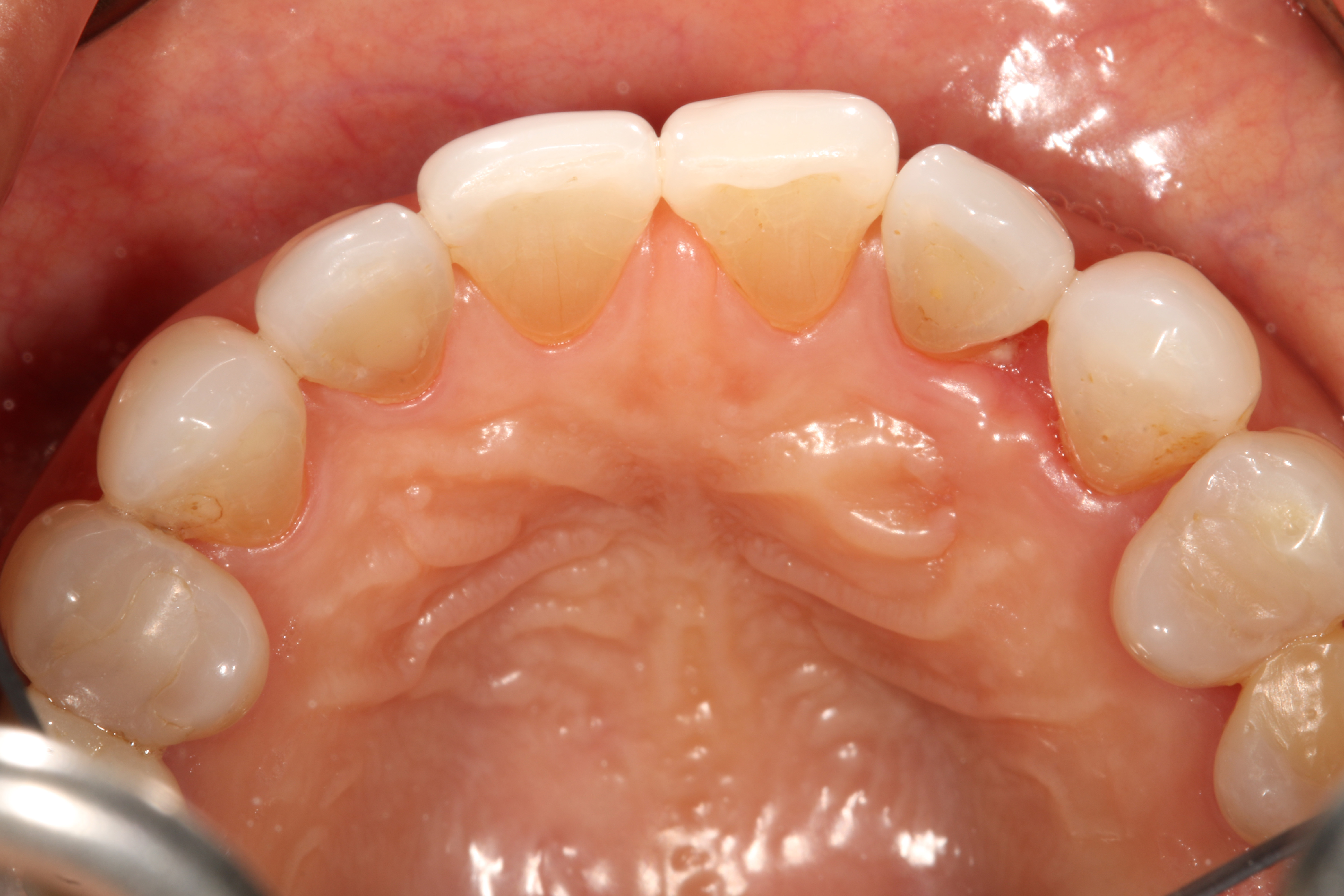 Jason S. Ehrenman, D.M.D. M.S.D.