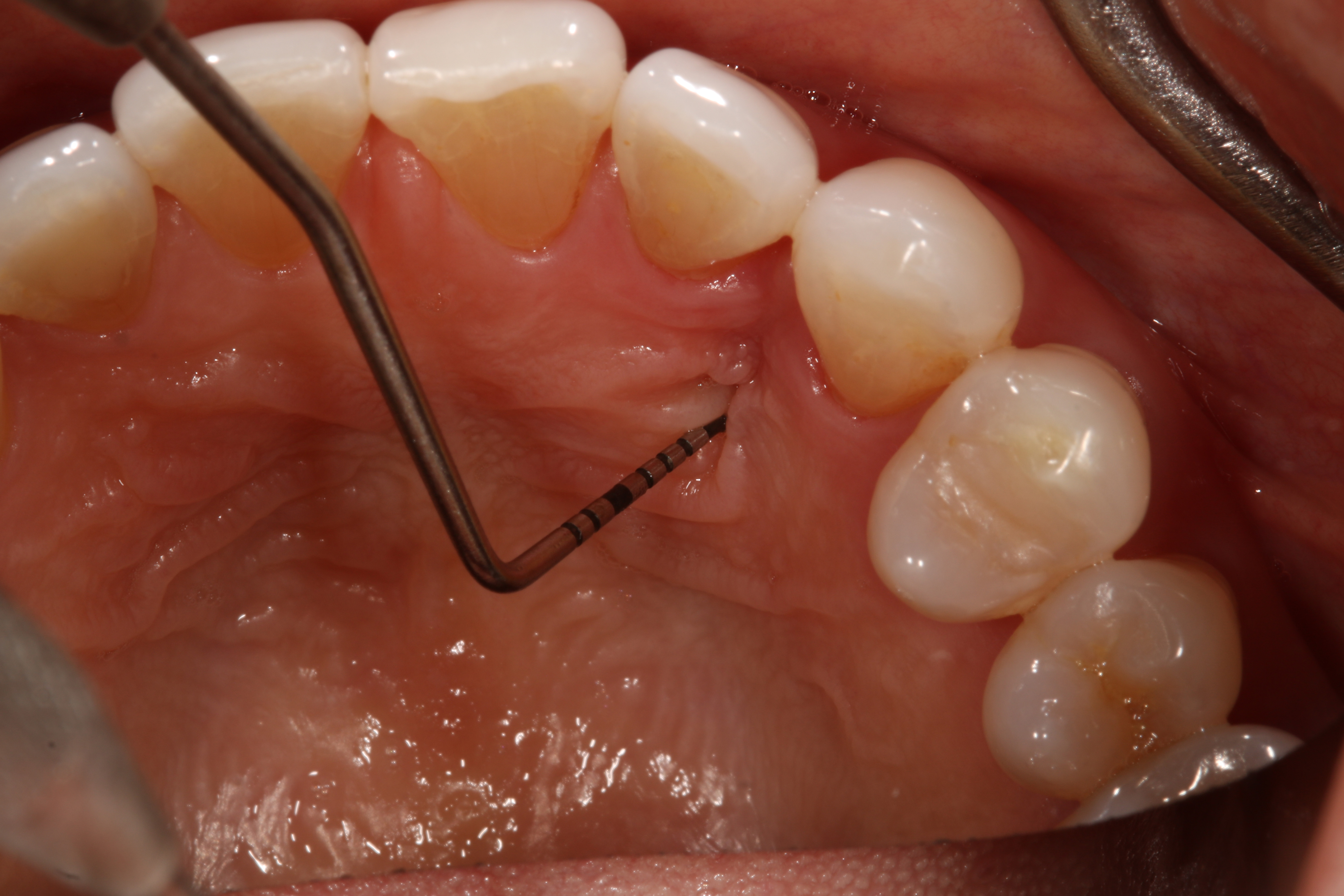 Jason S. Ehrenman, D.M.D. M.S.D.