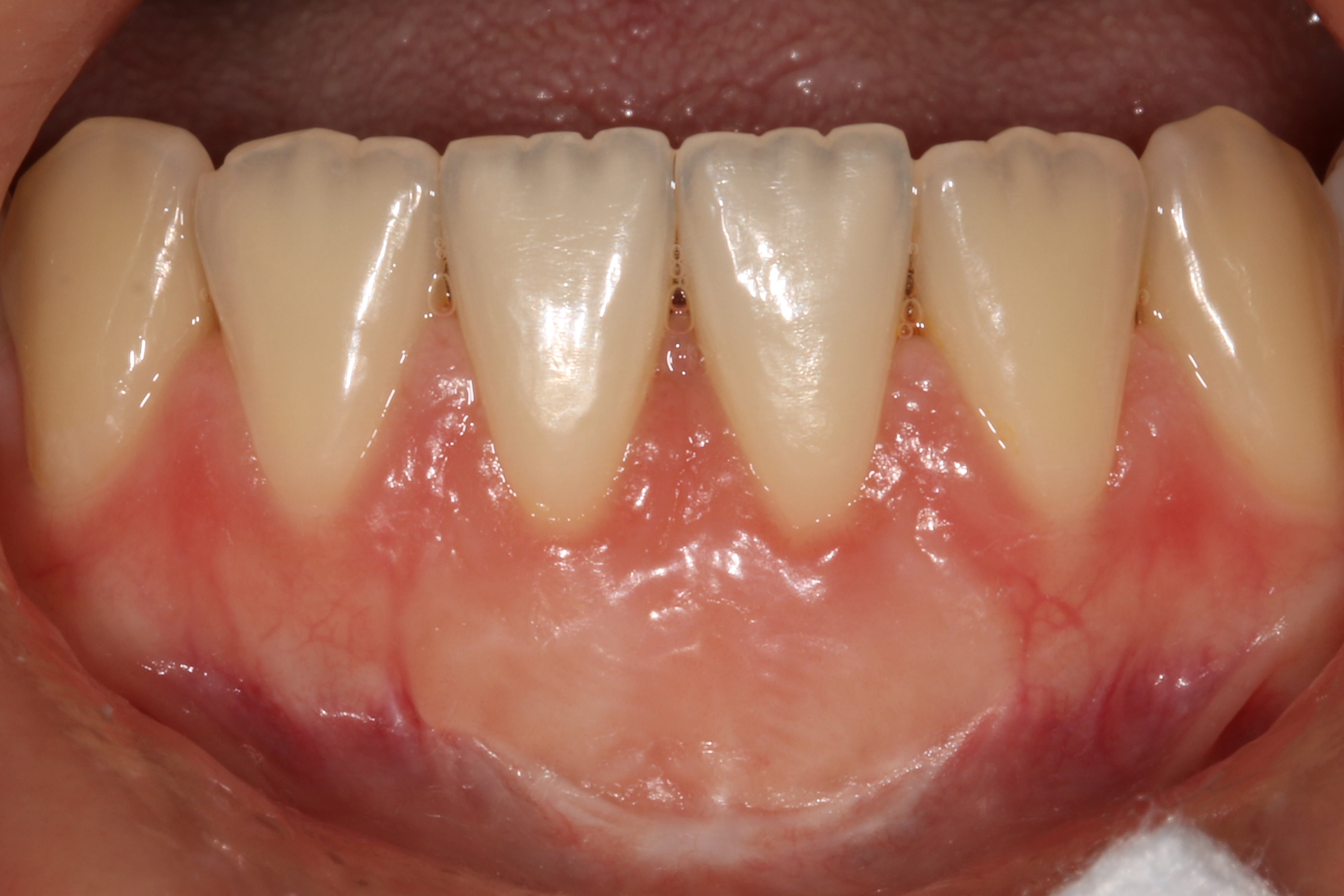 Jason S. Ehrenman, D.M.D. M.S.D.