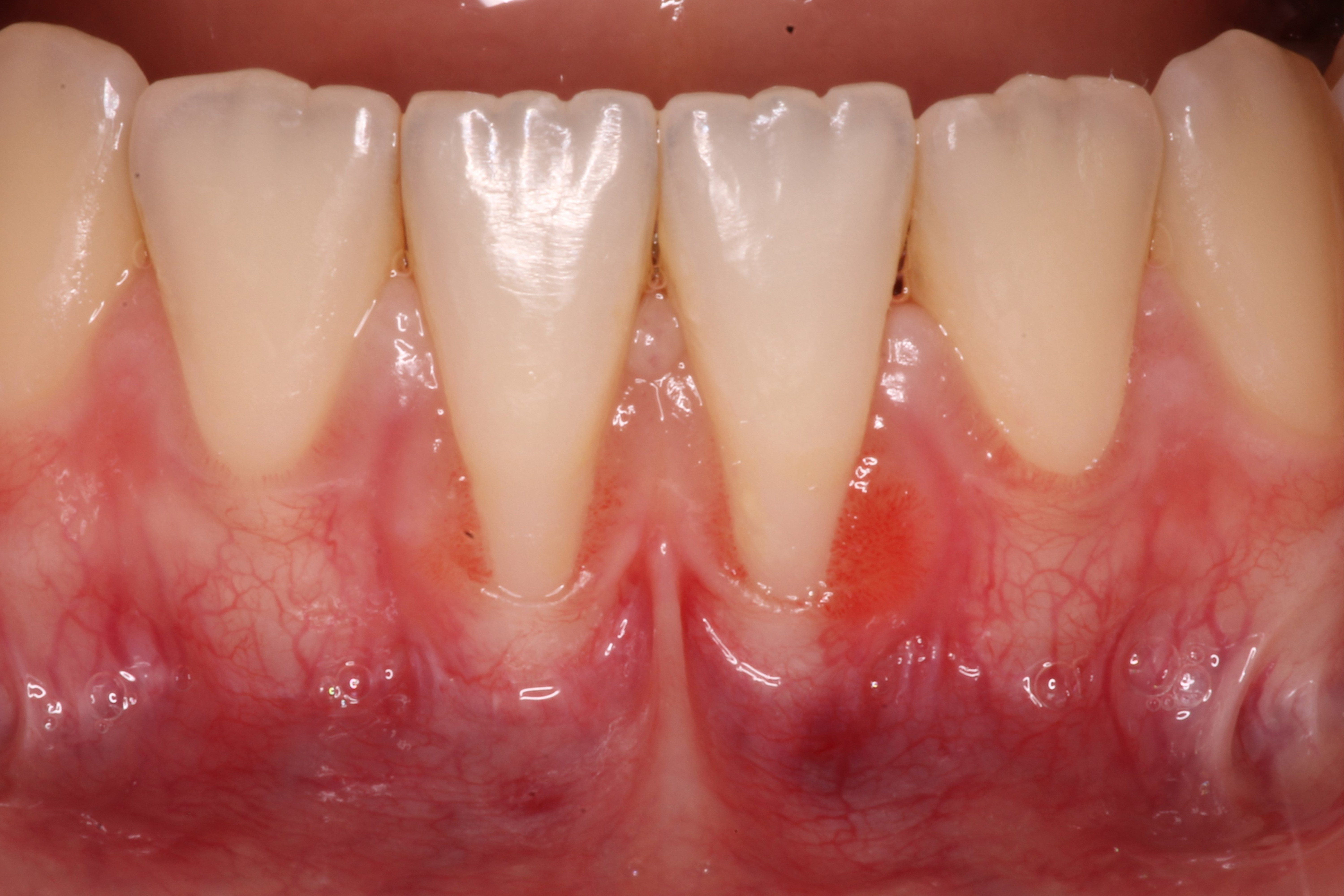 Jason S. Ehrenman, D.M.D. M.S.D.