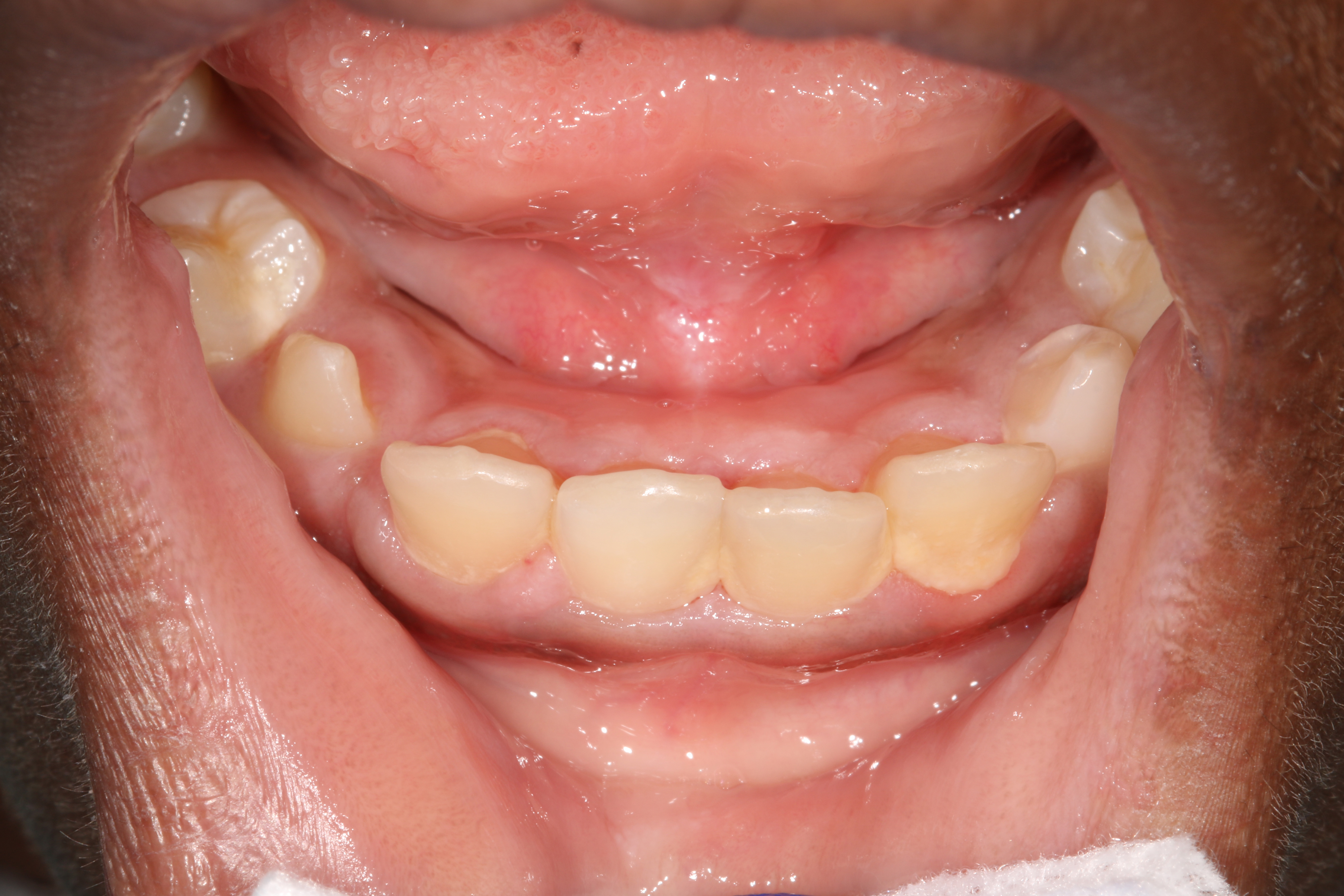 Jason S. Ehrenman, D.M.D. M.S.D.