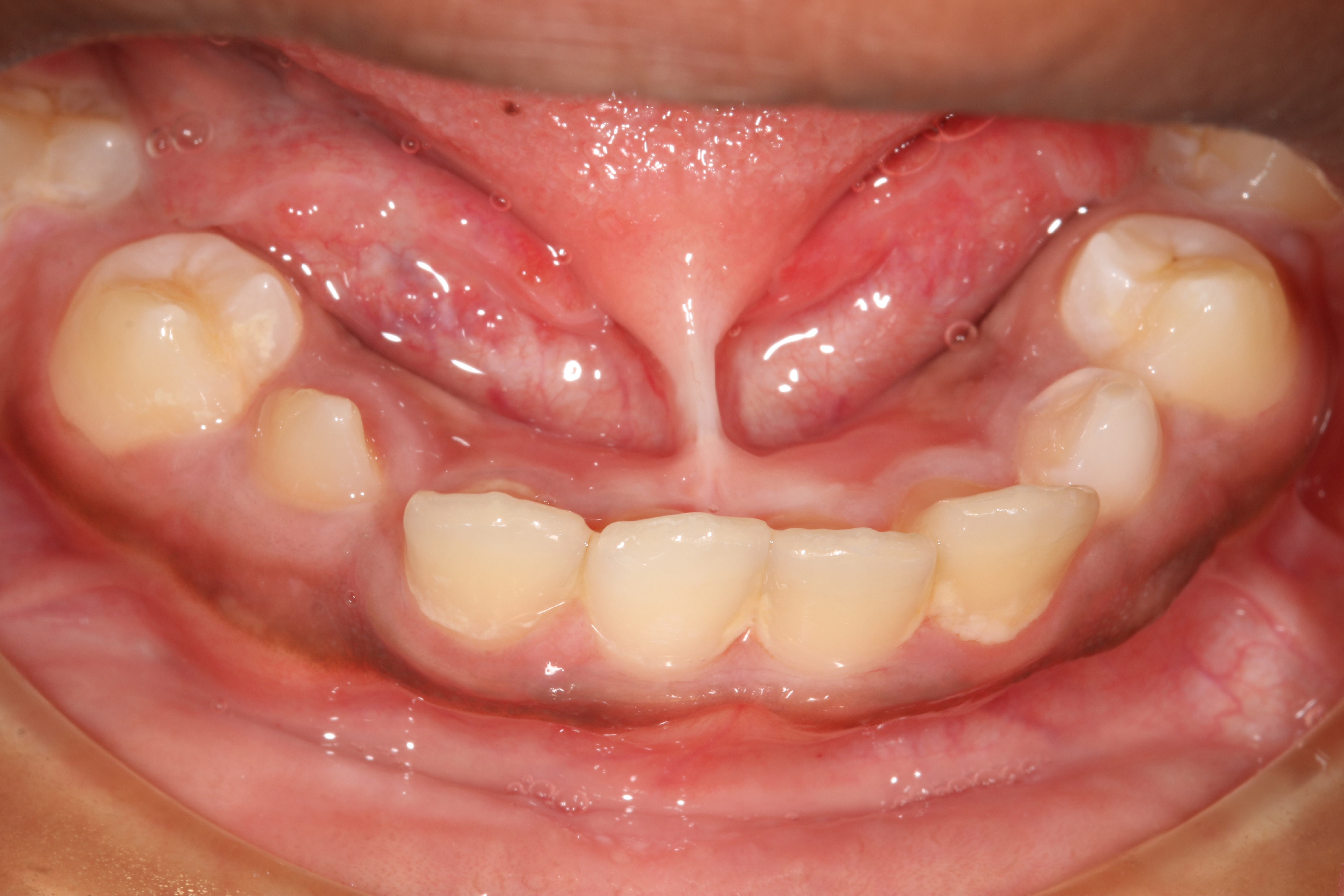 Jason S. Ehrenman, D.M.D. M.S.D.